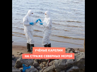 scientists of karelia on guard of the northern seas